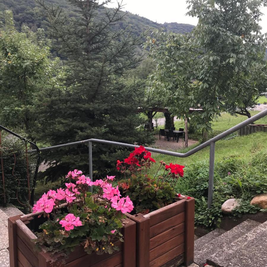 Moselina Gaestezimmer Sankt Aldegund Exterior foto