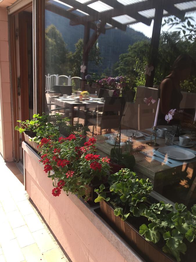 Moselina Gaestezimmer Sankt Aldegund Exterior foto